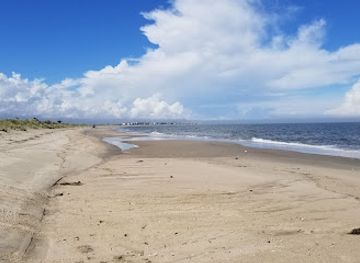 delaware/delaware-seashore-state-park/landmark/beach-plum-island-nature-preserve