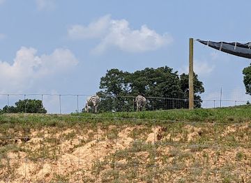 missouri/cape-girardeau/landmark/cape-safari-park