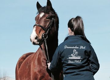 ireland/westport/landmark/drummindoo-stud