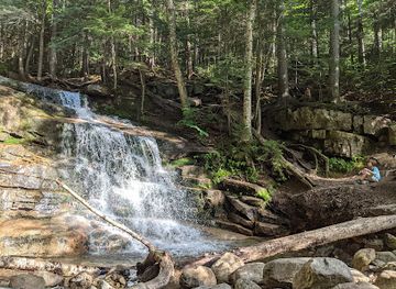 new-hampshire/franconia-notch-state-park/landmark/falling-waters-trailhead
