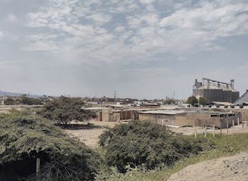 peru/trujillo/chan-chan/landmark/ruinas-chan-chan