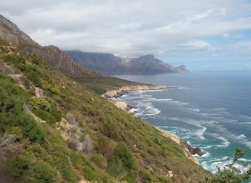 south-africa/overberg/landmark/stony-point-nature-reserve