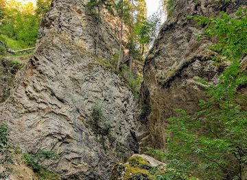 bulgaria/sofia-valley/landmark/market-lyulin