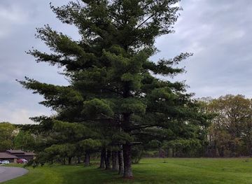 indiana/brown-county-state-park/landmark/brown-county-state-park-pool