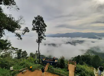 Negeri Di Atas Awan Citorek