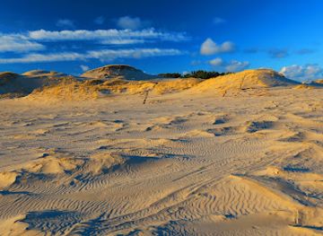 poland/słowiński-national-park/landmark/wydma-czolpinska