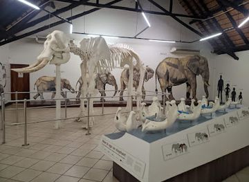 south-africa/lowveld/landmark/elephant-hall-letaba-rest-camp