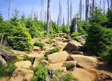 germany/harz/landmark/eckerlochstieg