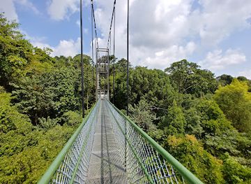 singapore/labrador-nature-reserve/landmark/treetop-walk