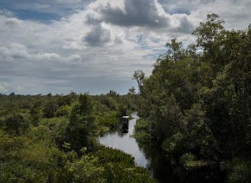 indonesia/central-kalimantan/landmark/pondok-tanggui