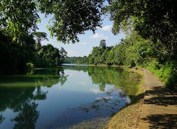 singapore/macritchie-reservoir/landmark/macritchie-reservoir