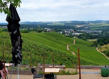 luxembourg/remich/landmark/domaine-goldbierg-benoit-claude