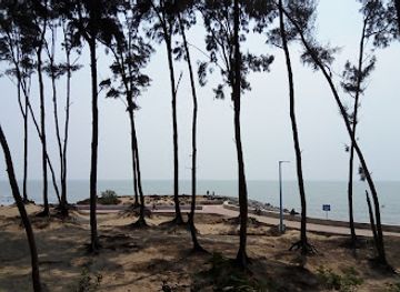 india/digha/landmark/digha-cashew-garden