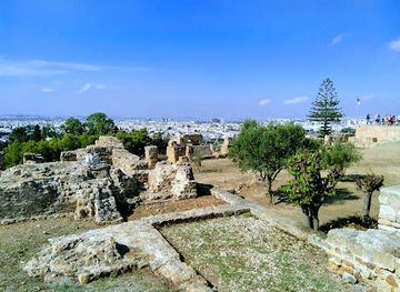 tunisia/the-cap-bon-peninsula/landmark/quartier-punique-de-byrsa
