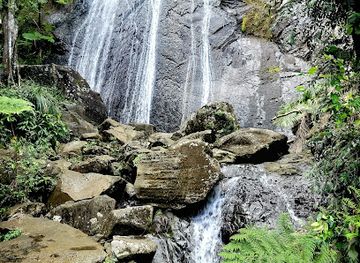puerto-rico/el-yunque-national-forest/landmark/catarata-coca