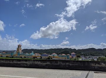puerto-rico/west-region/landmark/bosque-estatal-de-cambalache