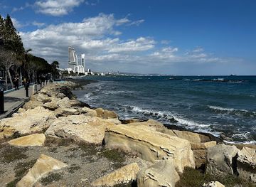 cyprus/limassol/landmark/akti-olympion-beach