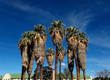 namibia/windhoek/landmark/palm-tree-park