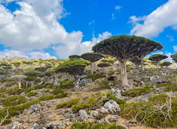 Socotra I