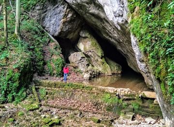 romania/caras-severin/landmark/pestera-buhui