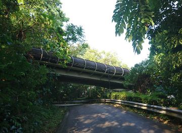 singapore/southern-ridges/landmark/therapeutic-garden