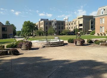 missouri/rolla/landmark/the-jack-carney-puck-plaza