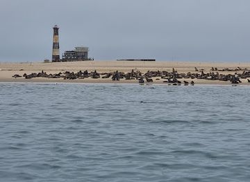 namibia/walvis-bay/landmark/catamaran-charters-booking-and-check-in-office