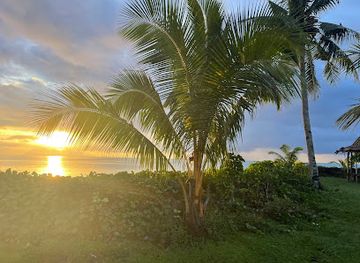 samoa/palauli/landmark/samoa-alofa-rentals