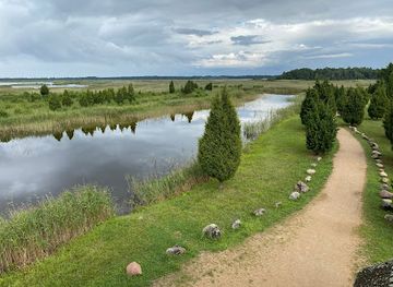 latvia/teici-nature-reserve/landmark/birdwatching-tower-of-riekstusala