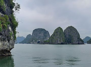 vietnam/ha-long/landmark/ha-binh-cruise-ha-long-bay-tour