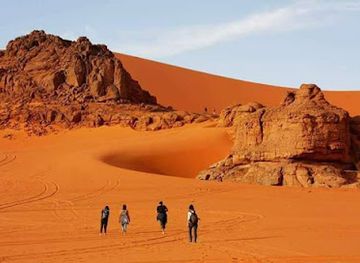 morocco/sahara-desert/landmark/jardin-majorelle