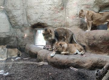 croatia/zagreb/maksimir-park/landmark/park-maksimir