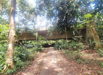 singapore/bukit-timah-nature-reserve/landmark/bke-underpass-to-chestnut-drive-park