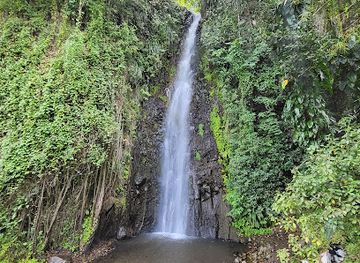 saint-vincent-and-the-grenadines/dark-view-falls/landmark/dark-view-fall