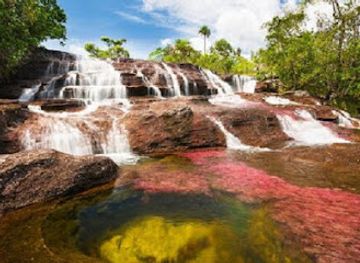 colombia/cano-cristales/landmark/cano-cristal