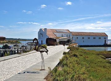 portugal/setubal/landmark/reserva-natural-do-estuario-do-sado
