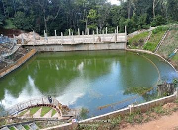 india/kaziranga-national-park/landmark/dolphin-viewing-point