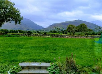 ireland/killarney-national-park/landmark/dunloe-ogham-stones