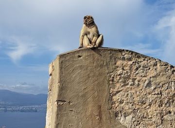 spain/malaga/landmark/malaga-tour