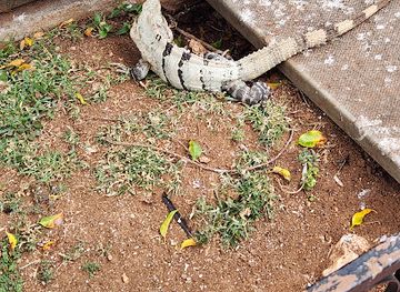 mexico/playa-del-carmen/landmark/old-lady-statue