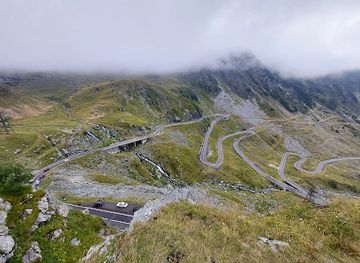 romania/transfagarasan-highway/landmark/magarusii-prietenosi-de-pe-transfagarasan