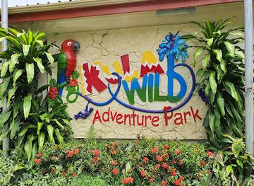 fiji/northern-division/landmark/kula-wild-adventure-park