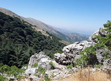 Shouf Cedars