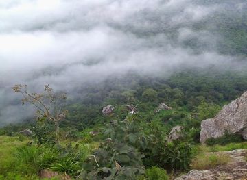 malawi/mulanje-mountain/landmark/bunda-mountain
