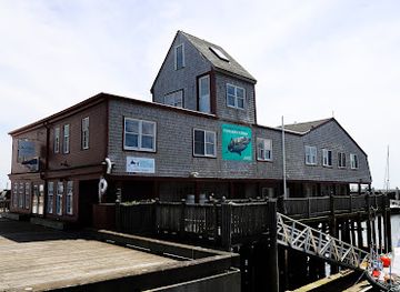 massachusetts/provincetown/landmark/awsc-shark-center-provincetown
