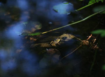 maine/bar-harbor/landmark/friends-of-acadia