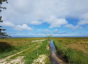 Arteesiakaevud