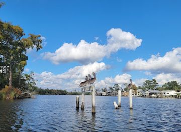 alabama/fairhope/landmark/weeks-bay-national-estuarine-research-reserve