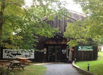 vermont/washington-county/landmark/birds-of-vermont-museum