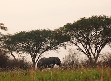 uganda/queen-elizabeth-national-park/landmark/ishasha-sector